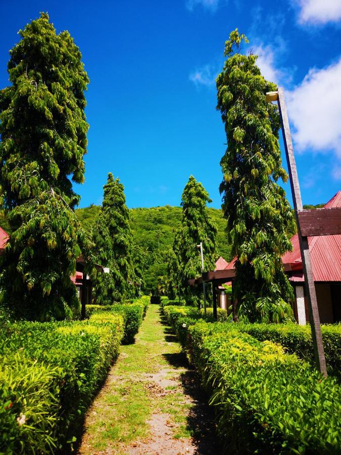 Coralview Island Resort Tavewa Island Exterior photo